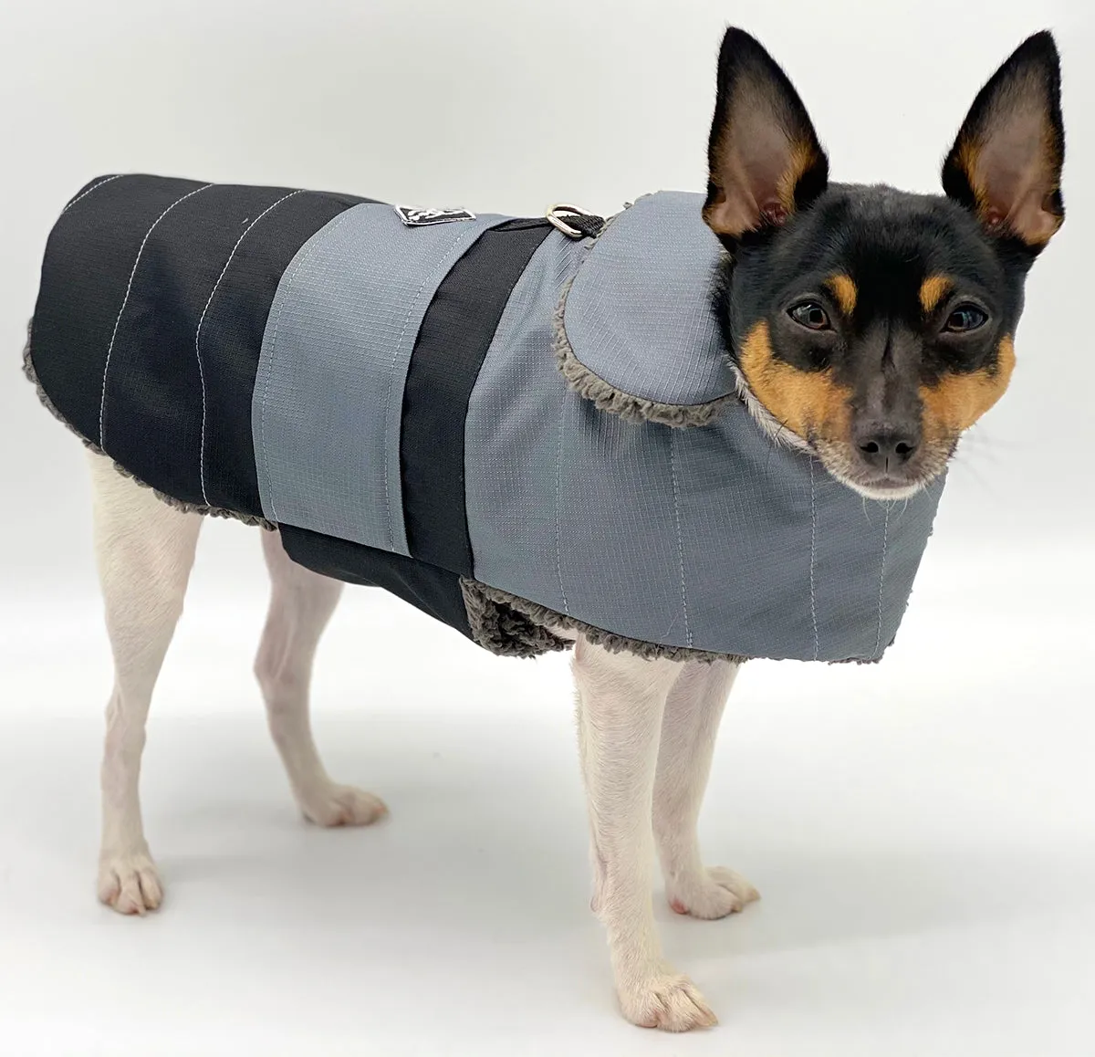 DoggieCoutureNY Water Resistant Gray & Black Coat