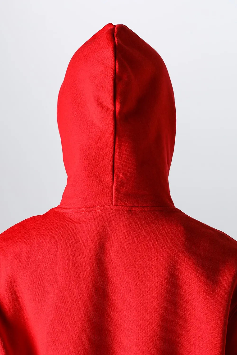 Dragon Oversized Hoodie