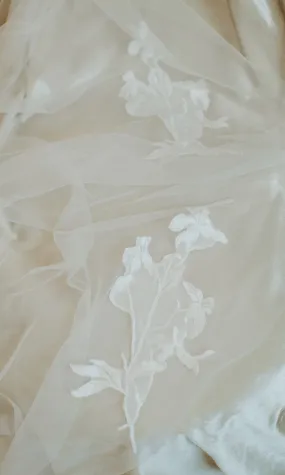Havana Veil (WHSL)