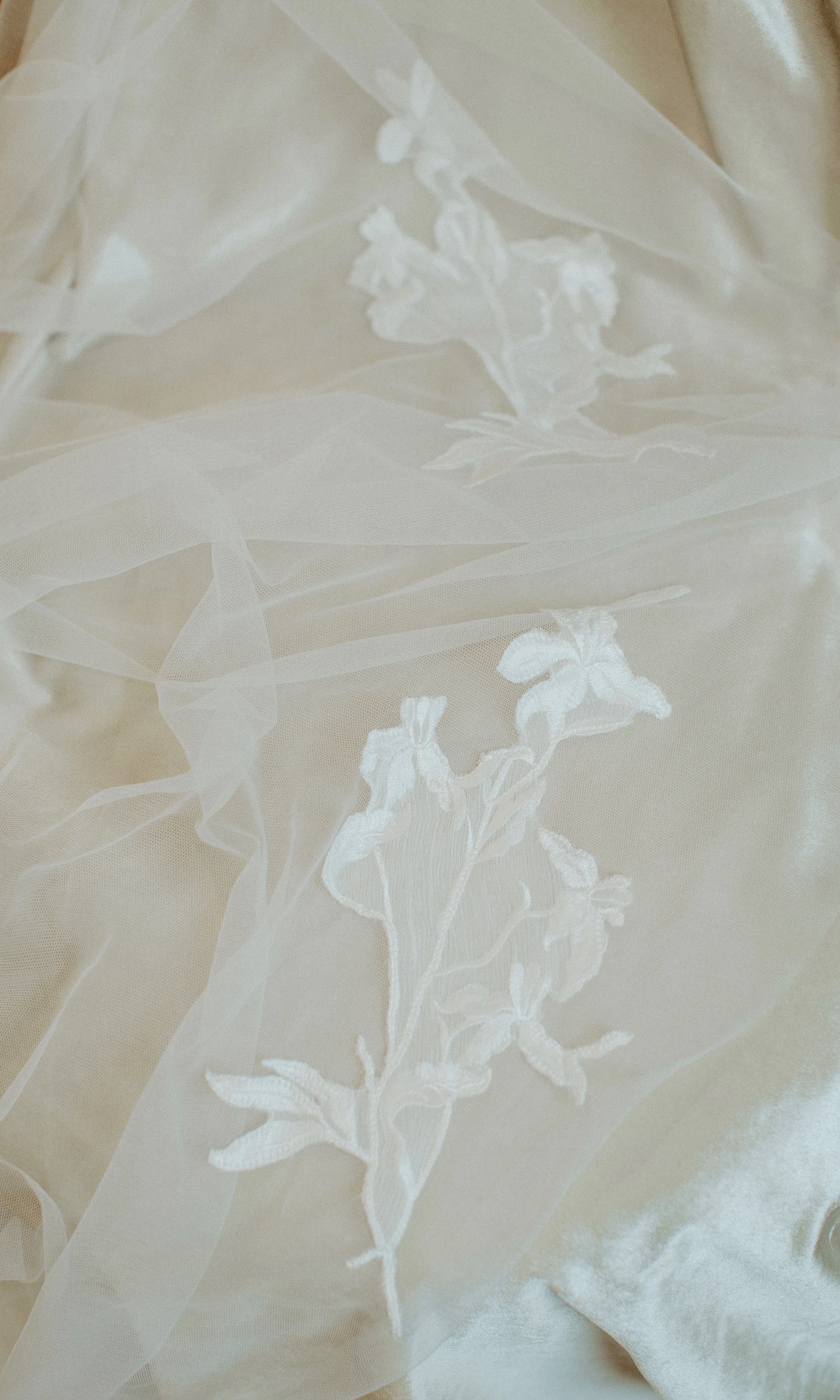Havana Veil (WHSL)