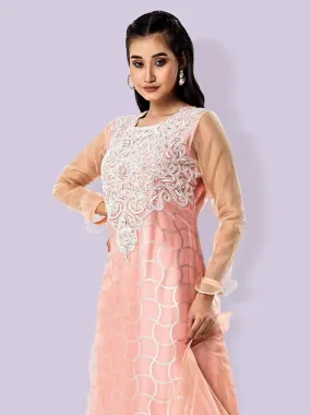 Pink Gown Dress