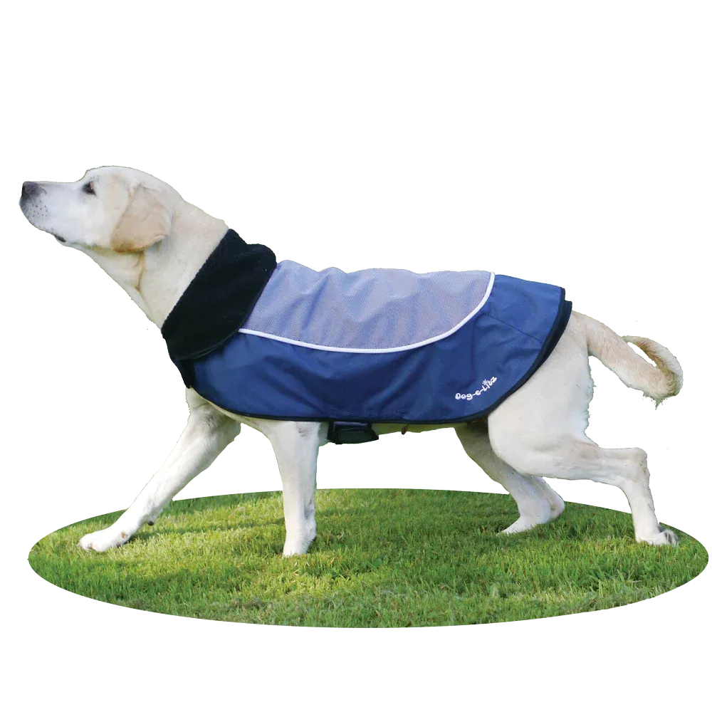 Rosewood Night Bright LED Safety Jacket